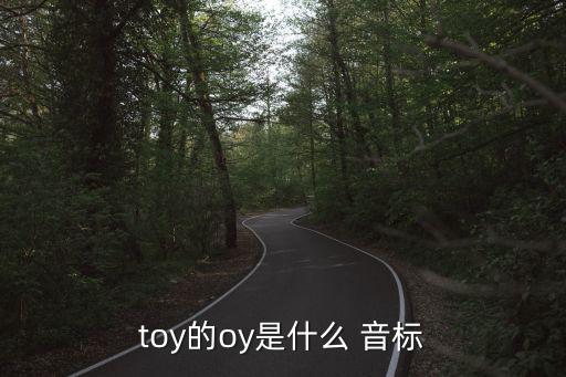 toy的oy是什么 音標(biāo)