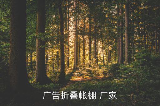 廣告折疊帳棚 廠家