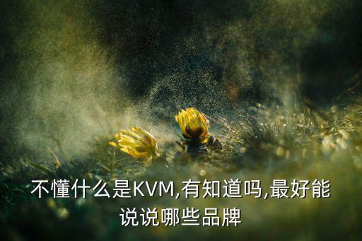 不懂什么是KVM,有知道嗎,最好能說說哪些品牌