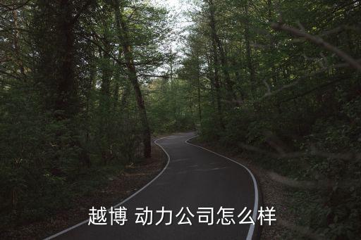 越博動力會被ST嗎,新能源車動力總成