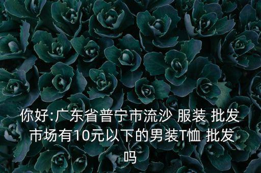 你好:廣東省普寧市流沙 服裝 批發(fā) 市場(chǎng)有10元以下的男裝T恤 批發(fā)嗎