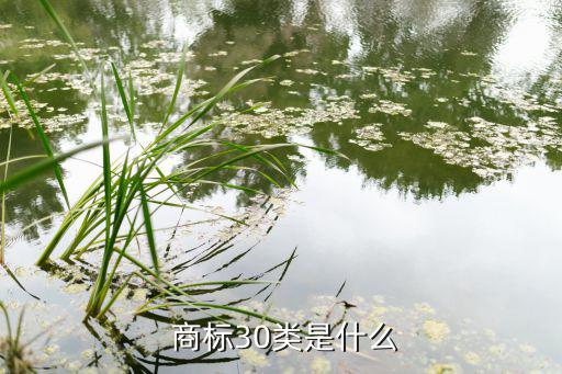  商標(biāo)30類是什么