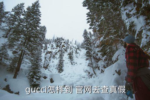  gucci怎樣到 官網(wǎng)去查真假