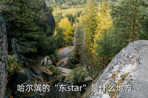  哈爾濱的“東star”是什么地方