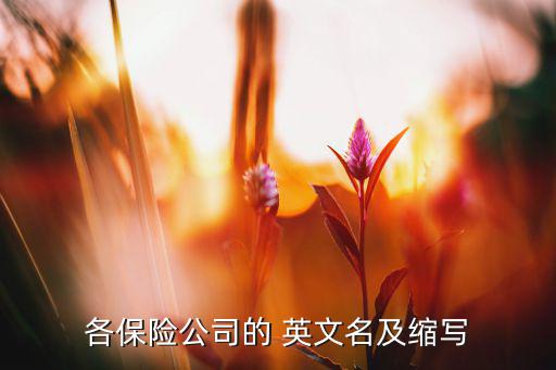 各保險(xiǎn)公司的 英文名及縮寫(xiě)