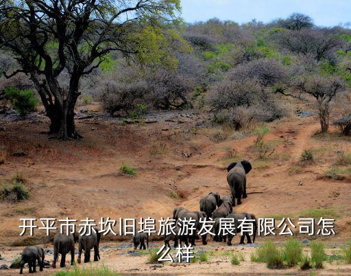  開平市赤坎舊埠旅游發(fā)展有限公司怎么樣