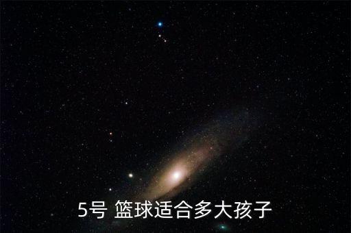 5號(hào) 籃球適合多大孩子