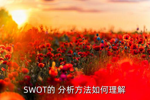 體育用品的swot分析