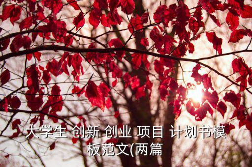 創(chuàng)新創(chuàng)業(yè)項目計劃書內(nèi)容,互聯(lián)網(wǎng) 大學(xué)生創(chuàng)新創(chuàng)業(yè)項目計劃書模板