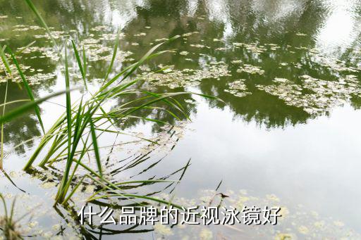 深圳市富隆體育用品怎么樣,泳鏡知多少?問與答（13）