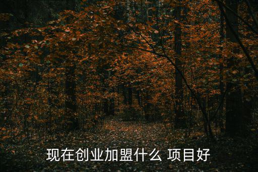 投資加盟項(xiàng)目,投資風(fēng)險(xiǎn)低回報(bào)客觀加盟商選擇適合自己的項(xiàng)目