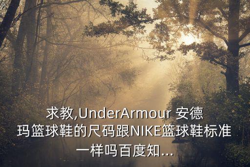 求教,UnderArmour 安德瑪籃球鞋的尺碼跟NIKE籃球鞋標(biāo)準(zhǔn)一樣嗎百度知...