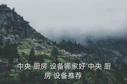  中央 廚房 設(shè)備哪家好 中央 廚房 設(shè)備推薦