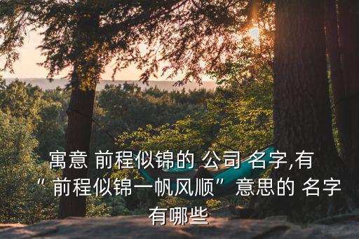 寓意前程似錦的公司名字