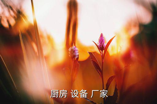 中央廚房設(shè)備生產(chǎn)廠家 進(jìn)口,山東中央廚房設(shè)備生產(chǎn)廠家