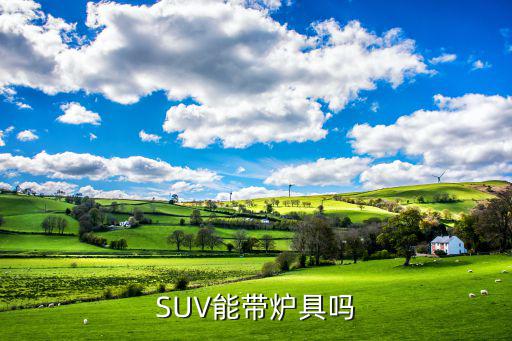 SUV能帶爐具嗎