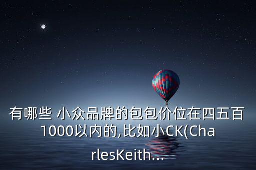 有哪些 小眾品牌的包包價位在四五百1000以內(nèi)的,比如小CK(CharlesKeith...