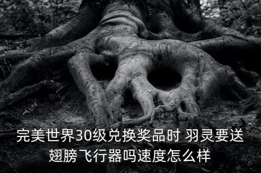 完美世界30級兌換獎品時 羽靈要送翅膀飛行器嗎速度怎么樣