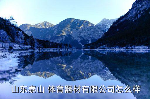 山東體育用品怎么樣啊,山東弘揚(yáng)體育用品有限公司