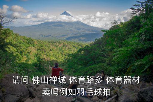 請問 佛山禪城 體育路多 體育器材賣嗎例如羽毛球拍