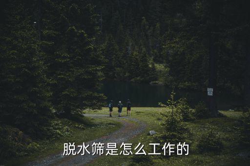  脫水篩是怎么工作的