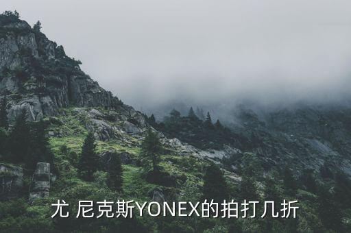 尤 尼克斯YONEX的拍打幾折