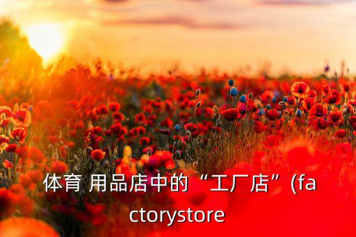  體育 用品店中的“工廠店”(factorystore