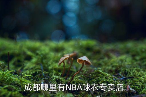  成都哪里有NBA球衣專賣店