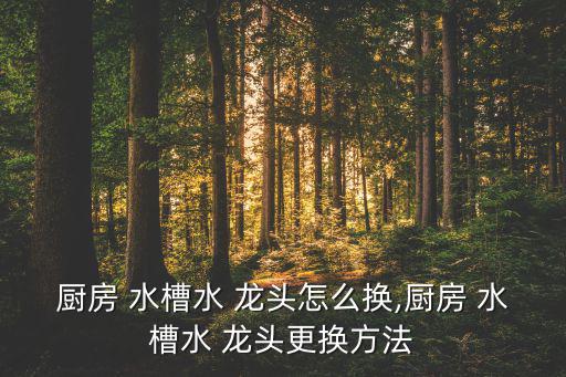 廚房 水槽水 龍頭怎么換,廚房 水槽水 龍頭更換方法