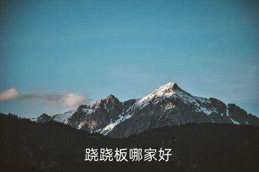 蹺蹺板哪家好