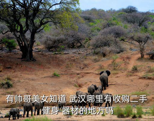 武漢健身器材批發(fā),武漢首個(gè)室內(nèi)健身器材引體向上上架