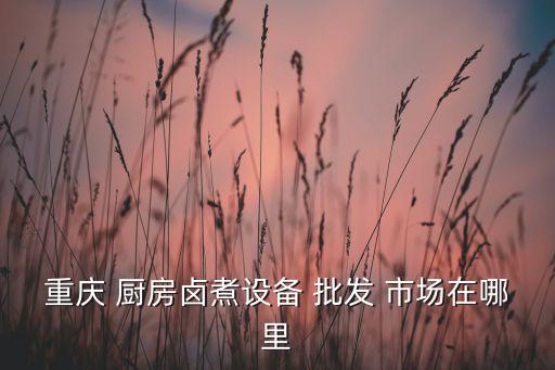 重慶 廚房鹵煮設(shè)備 批發(fā) 市場(chǎng)在哪里