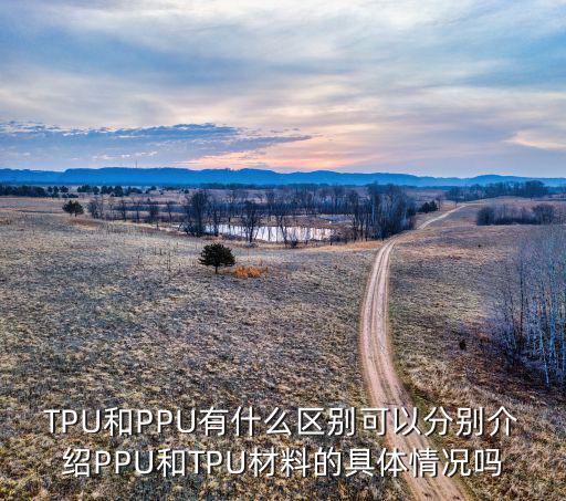 TPU和PPU有什么區(qū)別可以分別介紹PPU和TPU材料的具體情況嗎