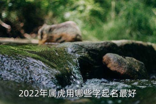 2022年屬虎用哪些字起名最好