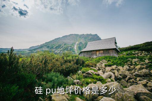 硅 pu地坪價(jià)格是多少