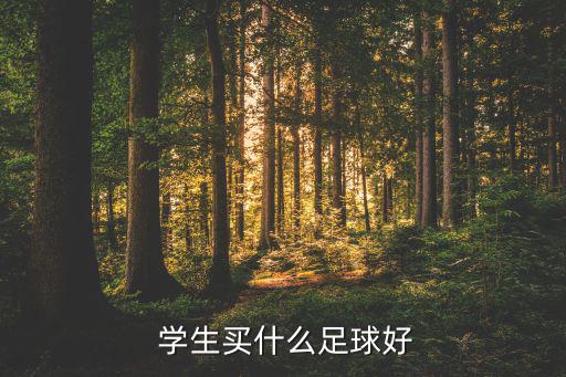  學(xué)生買什么足球好