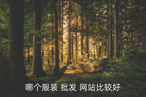 哪個服裝 批發(fā) 網(wǎng)站比較好