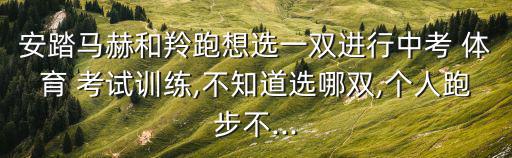 安踏馬赫和羚跑想選一雙進行中考 體育 考試訓(xùn)練,不知道選哪雙,個人跑步不...