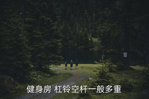 健身房 杠鈴空桿一般多重