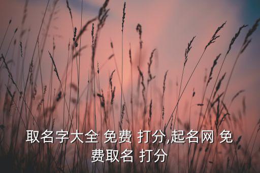 取名字大全 免費 打分,起名網(wǎng) 免費取名 打分