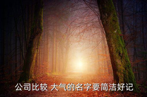  公司比較 大氣的名字要簡(jiǎn)潔好記