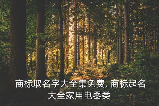 品牌商標(biāo)名稱決策,世界體育品牌商標(biāo)名稱大全