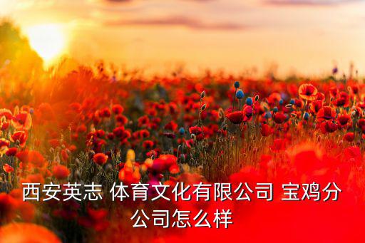 西安英志 體育文化有限公司 寶雞分公司怎么樣