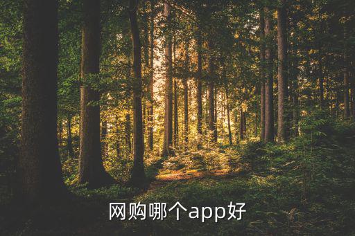 網(wǎng)購(gòu)哪個(gè)app好