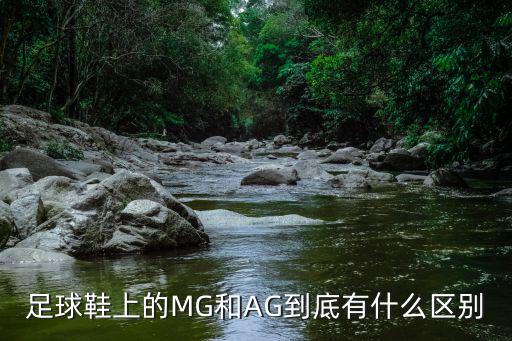 足球鞋上的MG和AG到底有什么區(qū)別