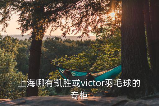 上海哪有凱勝或victor羽毛球的專柜