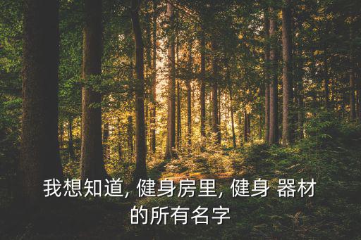 我想知道, 健身房里, 健身 器材的所有名字