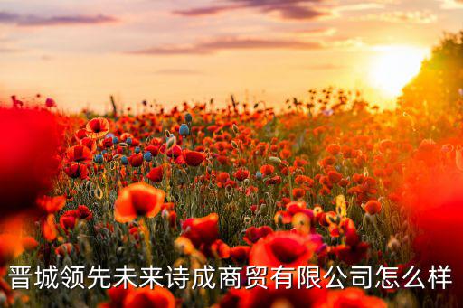 晉城領(lǐng)先未來(lái)詩(shī)成商貿(mào)有限公司怎么樣