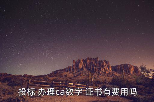  投標(biāo) 辦理ca數(shù)字 證書有費用嗎