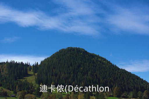 迪卡儂(Décathlon